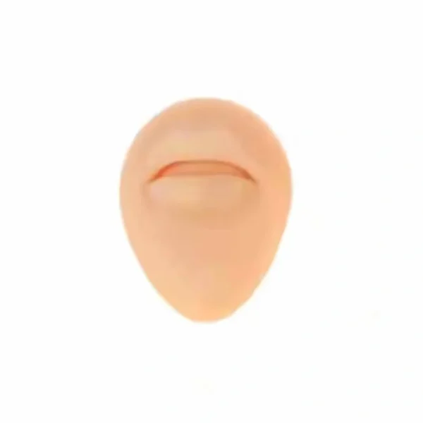 SILICON PIERCING PRACTICE MODEL MOUTH