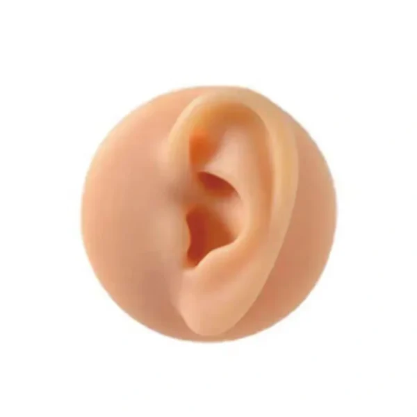 SILICON PIERCING PRACTICE MODEL RIGHT EAR