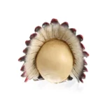 SKULL FIGURINE FEATURING A NATIVE AMERICAN-STYLE FEATHERED HEAD - Image 2