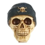 SKULL WITH BEANIE