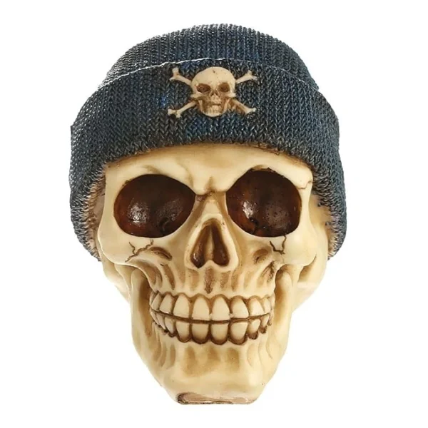 SKULL WITH BEANIE