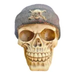 SKULL WITH BEANIE - Image 2
