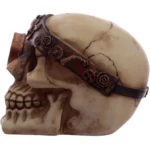 SKULL WITH MECHANICAL HEAD - Image 5
